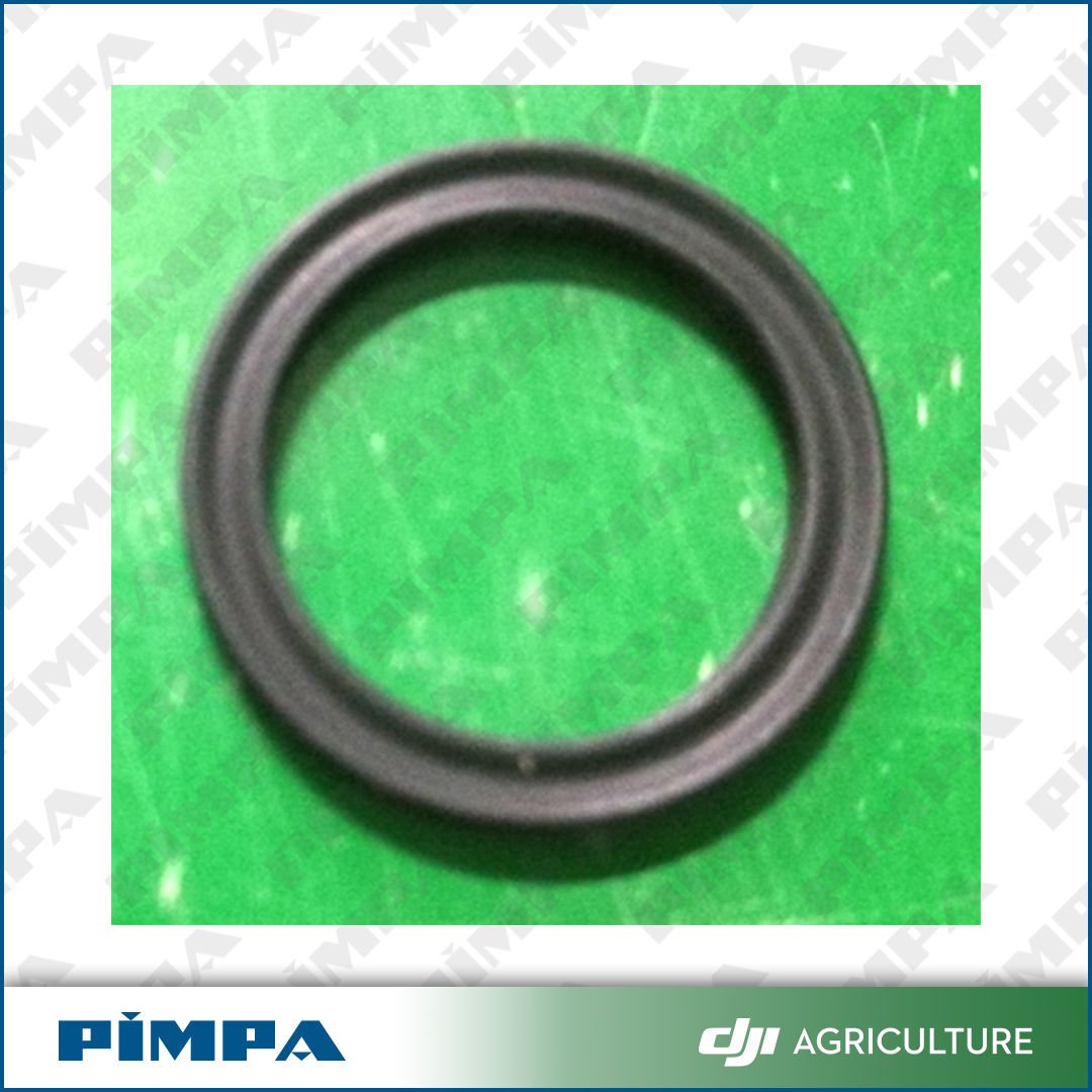 Sealing Ring (Star Shape)