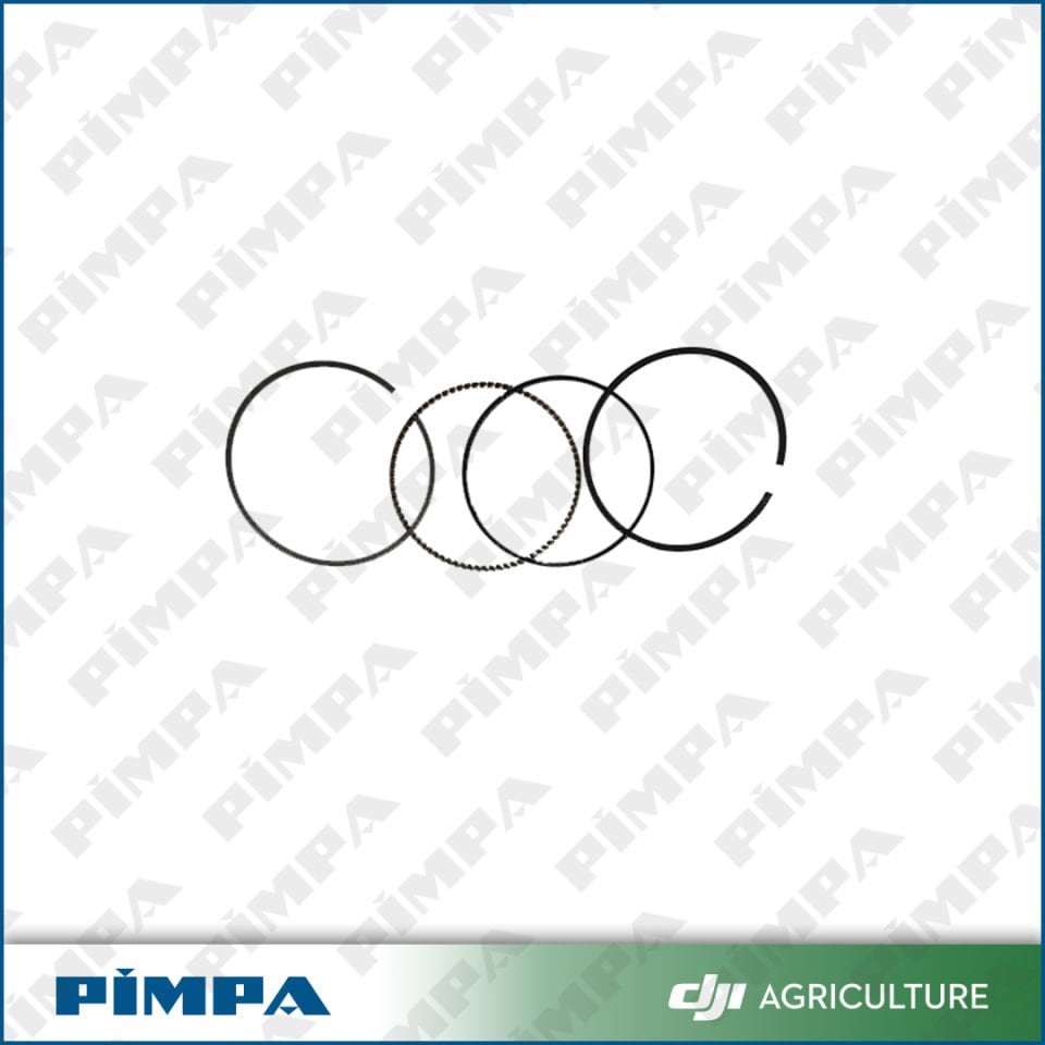 D12000i - Piston Ring (RATO)