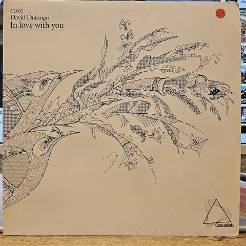 David Durango – In Love With You LP PLAK