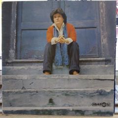 SELDA BAĞCAN - TÜRKÜLERİMİZ LP PLAK