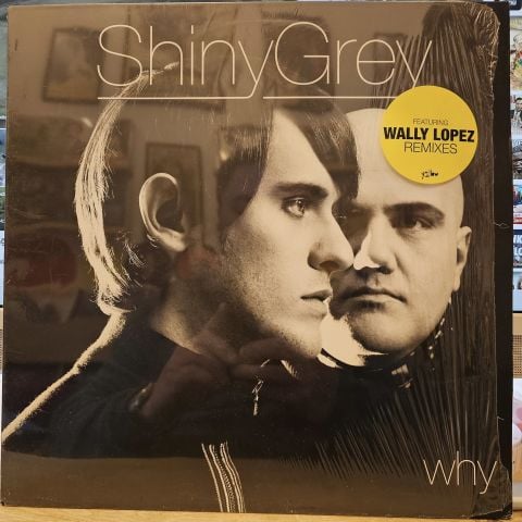 ShinyGrey – Why LP PLAK