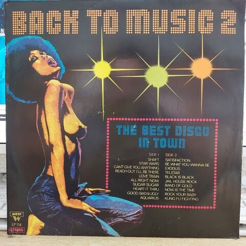 ÇEŞİTLİ SANATÇILAR - BACK TO MUSIC 2 LP PLAK