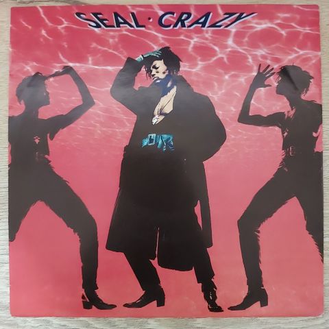 Seal – Crazy 45LİK PLAK