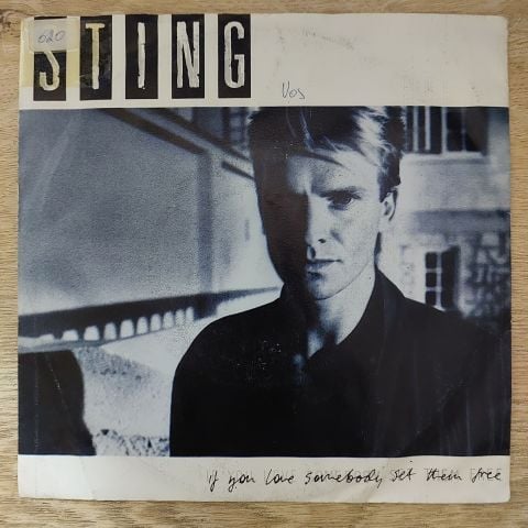 Sting – If You Love Somebody Set Them Free 45LİK PLAK