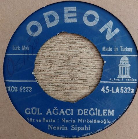 Nesrin Sipahi – Gül Ağacı Değilem / Süreyya 45LİK PLAK