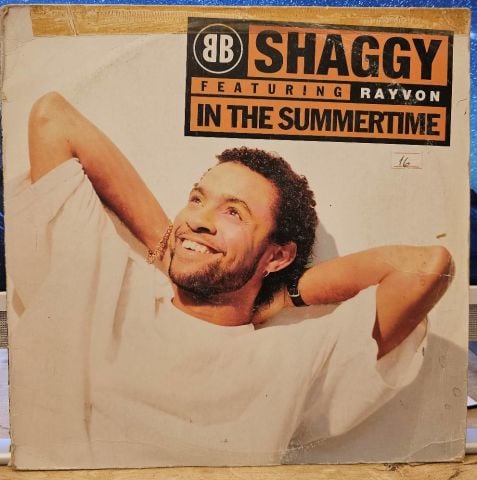 Shaggy Featuring Rayvon – In The Summertime LP PLAK