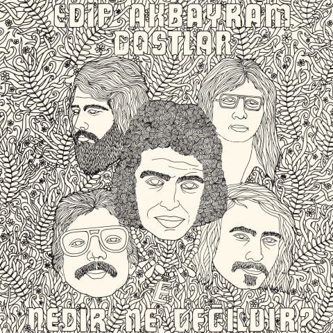 EDİP AKBAYRAM - NEDİR NE DEĞİLDİR LP PLAK
