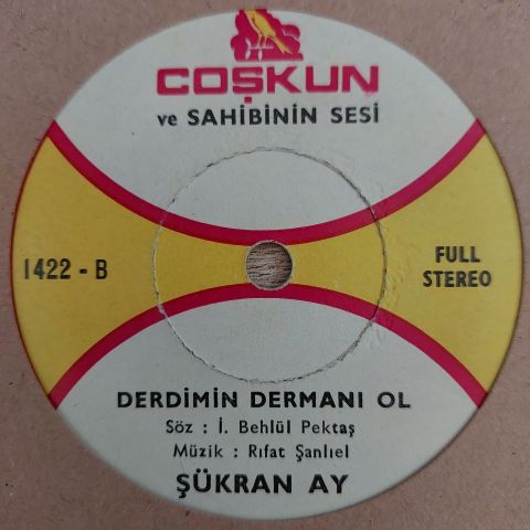 ŞÜKRAN AY - DERDİMİN DERMANI OL 45LİK PLAK