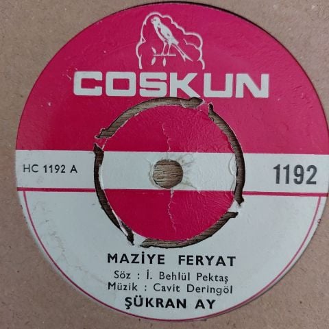 Şükran Ay – Maziye Feryat / Nazar Değmesin 45LİK PLAK