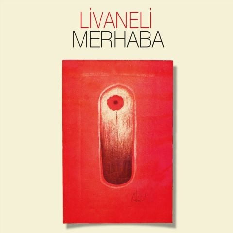 ZÜLFÜ LİVANELİ - MERHABA LP PLAK