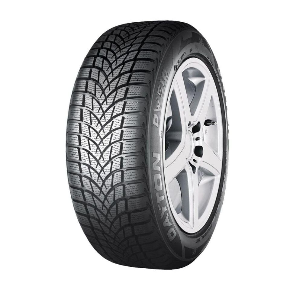 Dayton 205/55R16 DAYTON DW510E 91H Kış Lastiği (Üretim: 2023)