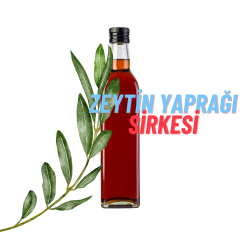 Zeytin Yaprağı Sirkesi 500 ml