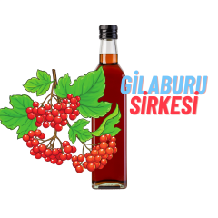 Gilaburu Sirkesi 500 ml