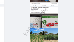 Usagro Tri AZOTE 21 Sıvı Organik Gübre
