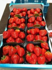 USAGRO K60 MEYVE BÜYÜTÜCÜ GELİŞTİRİCİ POTASYUM+BEYAZ KARBON