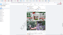 USAGRO CHAMPİON 444 SIVI ORGANİK AİT İÇEREN AKTİVATÖR 10 LT