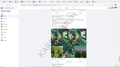 USAGRO CHAMPİON 444 SIVI ORGANİK AİT İÇEREN AKTİVATÖR 10 LT