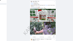 USAGRO CHAMPİON 444 SIVI ORGANİK AİT İÇEREN AKTİVATÖR 10 LT