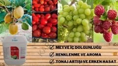 SENFA KALİBRE FA ORGANOMİNERAL SIVI NK GÜBRESİ Meyve İyileştirici İç Doldurucu