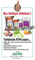 Senfa Klores Sıvı Potasyum Çözeltisi 10 Litre Gübre (Renklendirici)