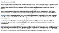 ADO MAG Magnezyum Sülfat Gübresi 25 kg