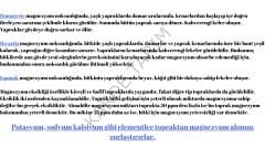 ADO MAG Magnezyum Sülfat Gübresi 25 kg