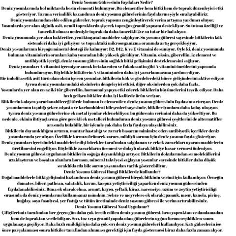 ANDERİS Sıvı Deniz Yosunu Gübresi 5 Lt