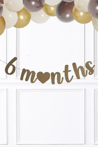 Ayı Konsept 6 Months Banner Yarım Yaş Partisi 6 Months Yazılı Ayıcıklı 2li Banner Süs