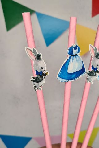 Alice in Wonderland Konsept Pipet Süsleri 10lu Lüks Pipet Paketi