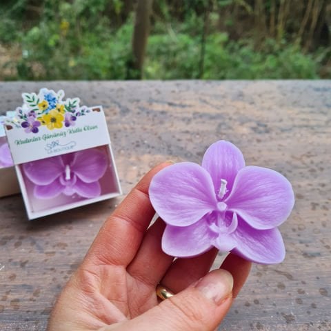 Orkide Mum Özel Kesim Kutulu Lila Renk Kadınlar Günü Hediyesi
