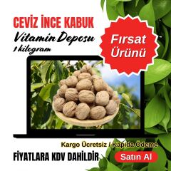 CEVİZ İNCE KABUK 1 KG VİTAMİN DEPOSU