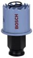 Bosch Special Serisi Metal Ve Inox Malzemeler için Delik Açma Testeresi 30 mm