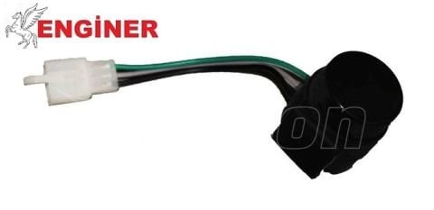FLAŞÖR-DOLPHIN 2020