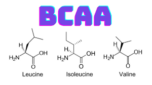 BCAA NEDİR, NE İŞE YARAR
