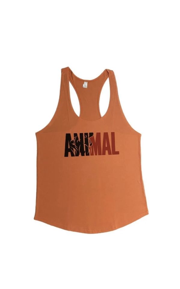 ANİMAL ANTRENMAN ATLET