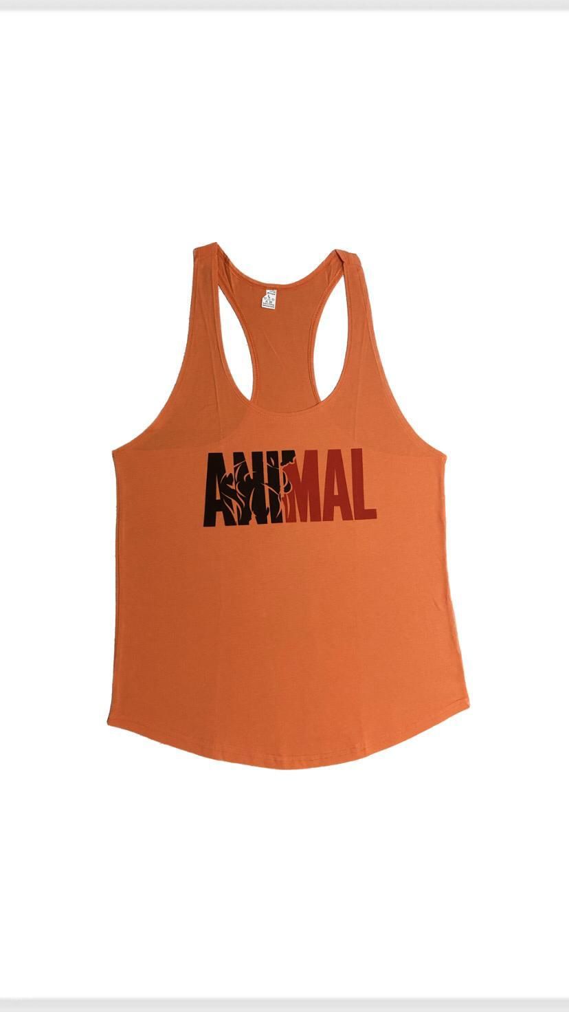 ANIMAL ATLET