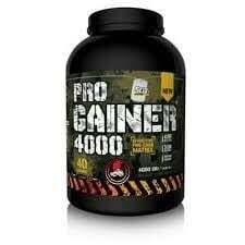 Sat Progainer 4000