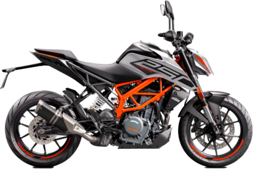 250 DUKE