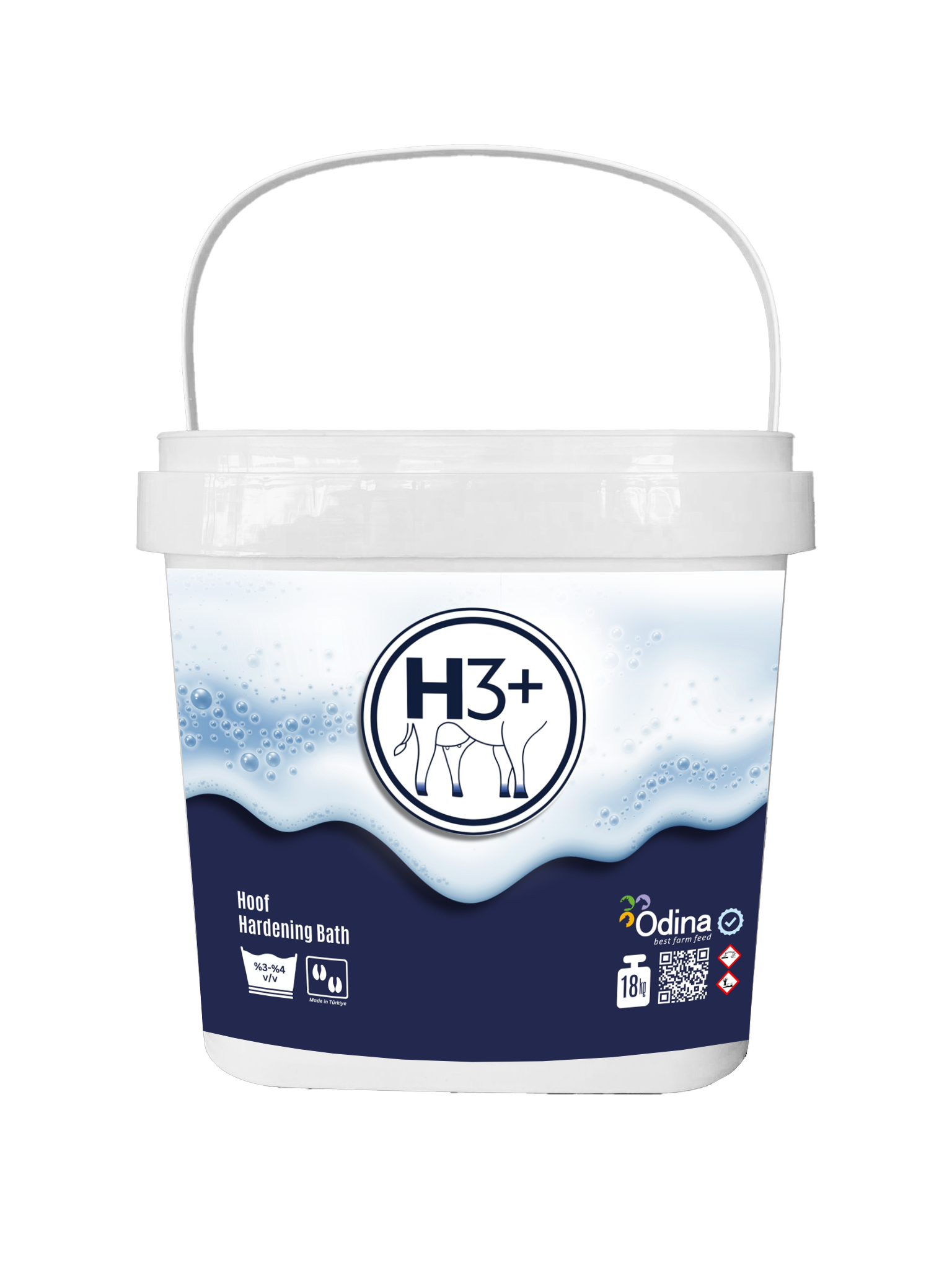 H3+