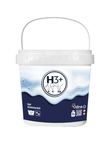 H3+