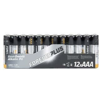 TOSHIBA KALIN PİL