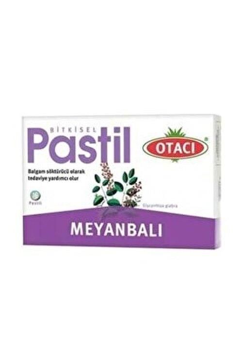 PASTİL OTACI MEYANBALI 16