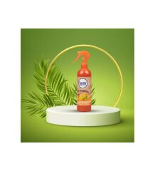 ODA SPREYİ FORM MANGO & KAVUN  360CC