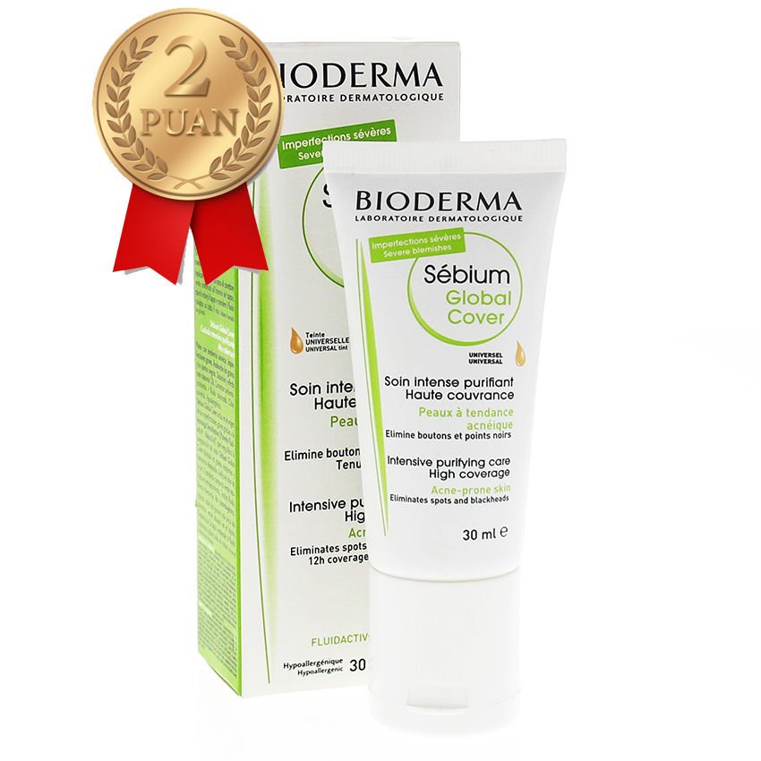 Sebium Global Cover