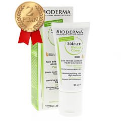 Sebium Global Cover