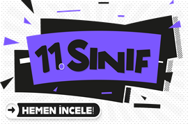 SINAVINI SEÇ 11. SINIF