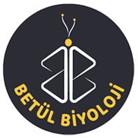 Betül Biyoloji, Biyoloji Video Kamp