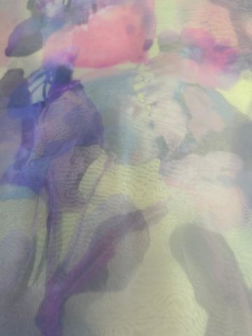 346 ORGANZE
