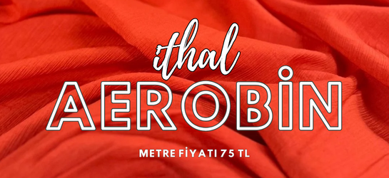 AEROBİN