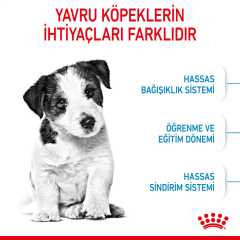 ﻿Royal Canin Mini Puppy Küçük Irk Yavru Köpek Maması 4 Kg